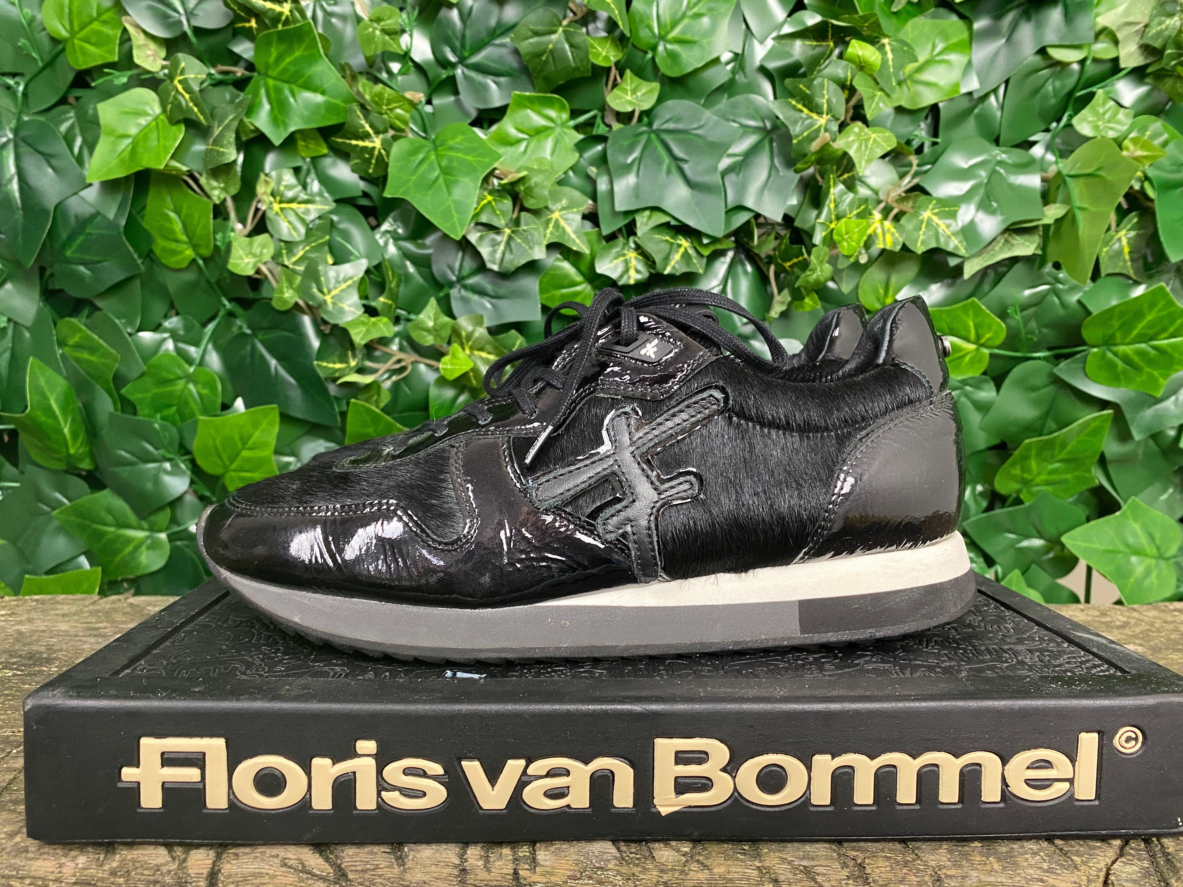 Floris van bommel discount pony